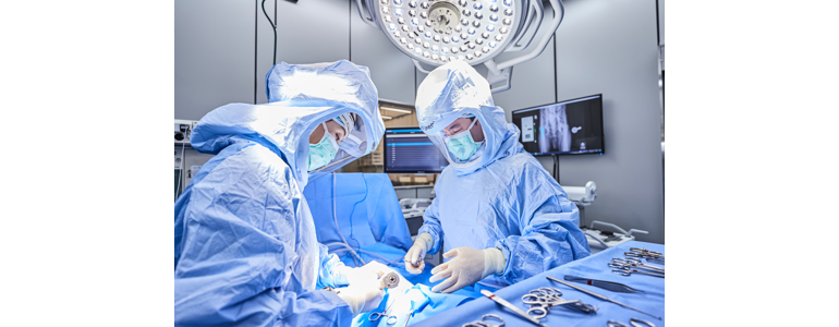 수원 영통구 동물병원