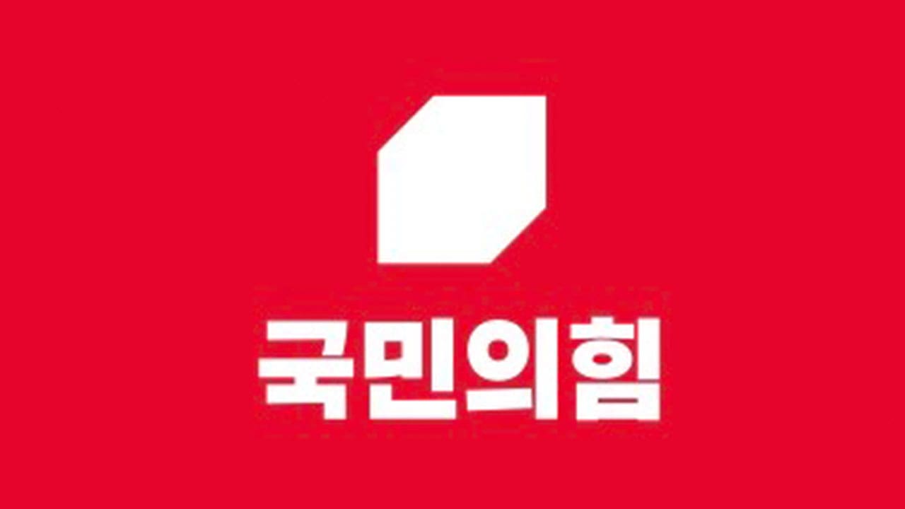 윤석열 계엄령? 민주당 지지자인 내가 국힘당을 이해하려 한 이유