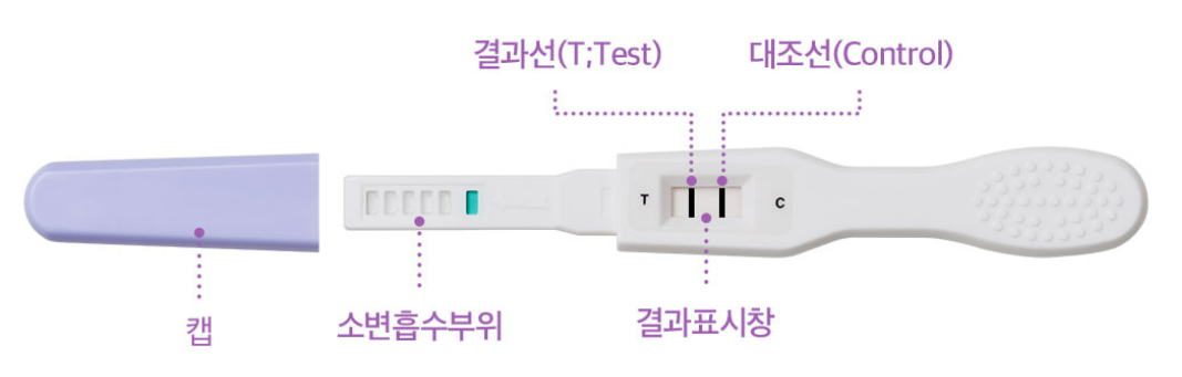 갱년기 테스트기 확인법