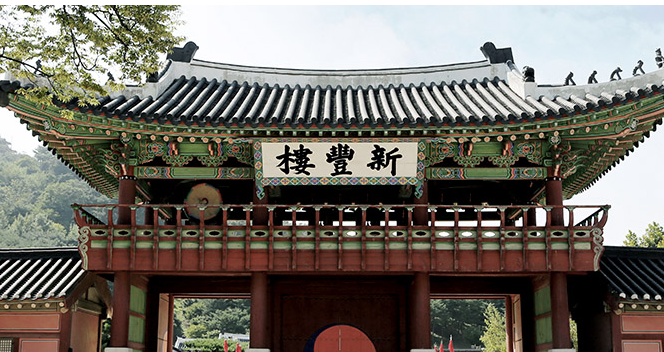 2024년 해돋이 축제