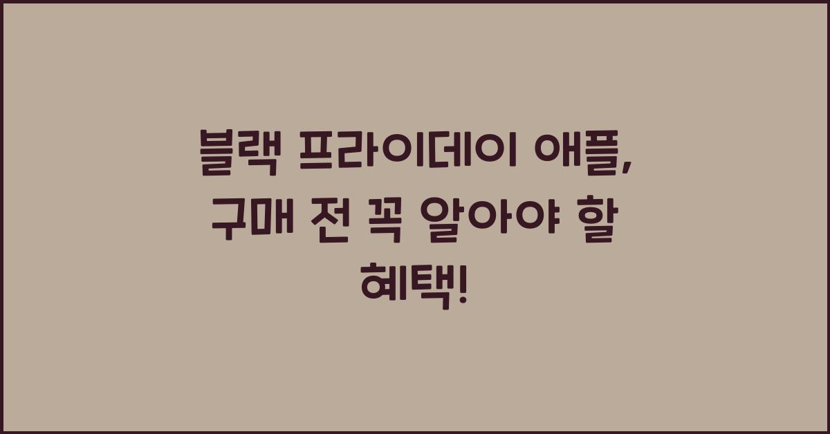 블랙 프라이데이 애플