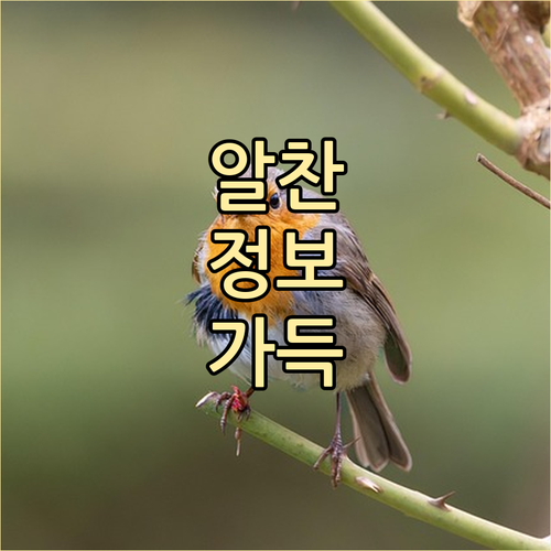 일반 음식 재활용 무학동 쓰레기 분리..