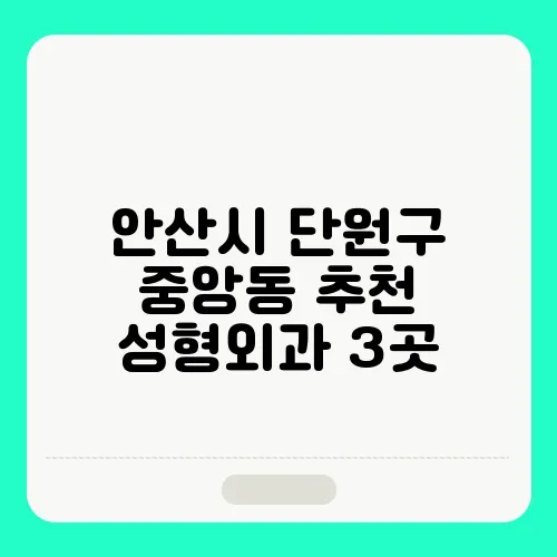 안산시 단원구 중앙동 추천 성형외과 3곳