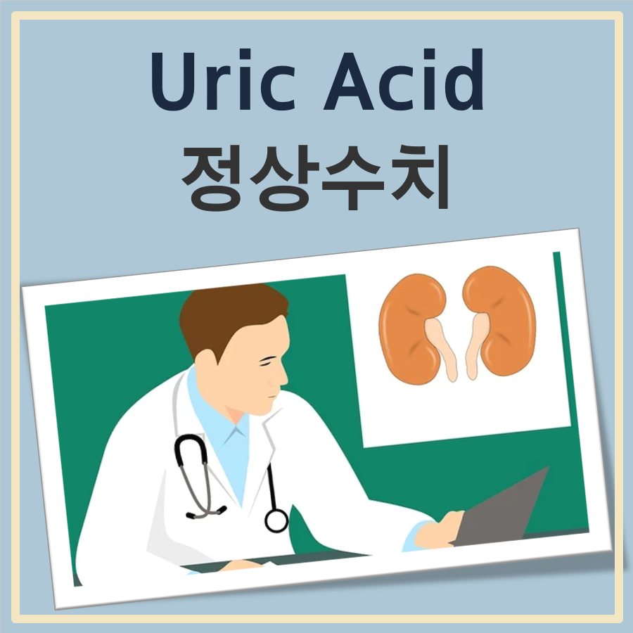 uric acid 정상수치, 낮으면 높으면