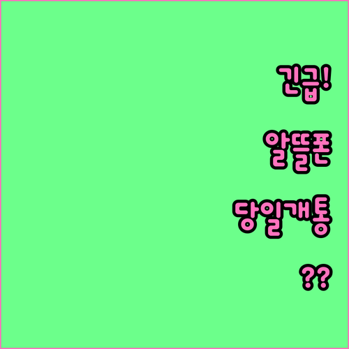 급할 때 쓰는 알뜰폰 당일 개통 방법..