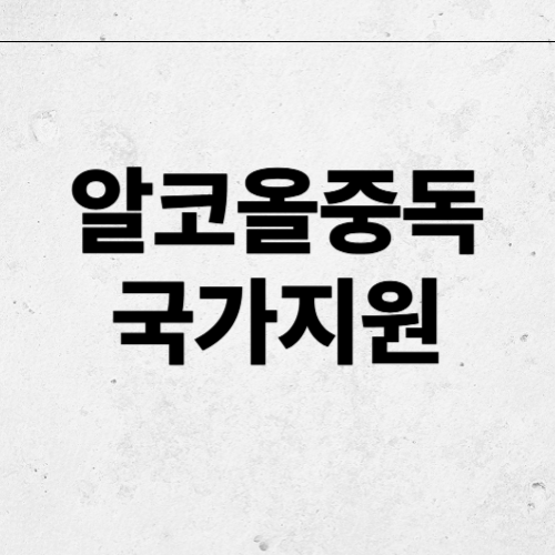 알코올 중독 치료 및 국가 지원 제도