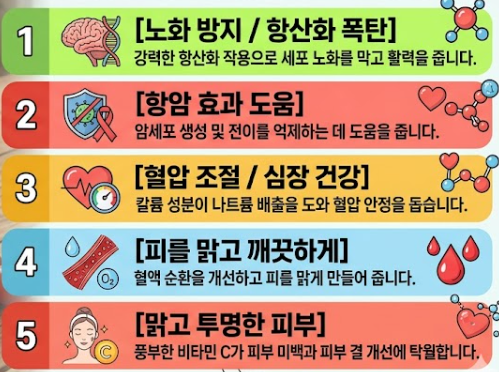 방울토마토의 효능