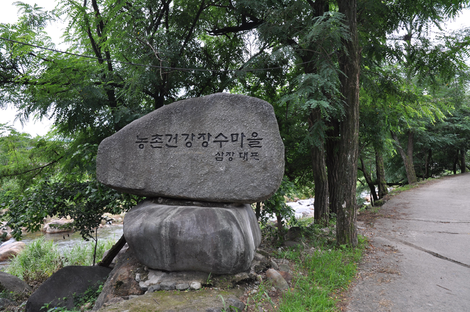 [경남 여행지 추천] 산청 가볼만한 곳 베스트 10 대포숲