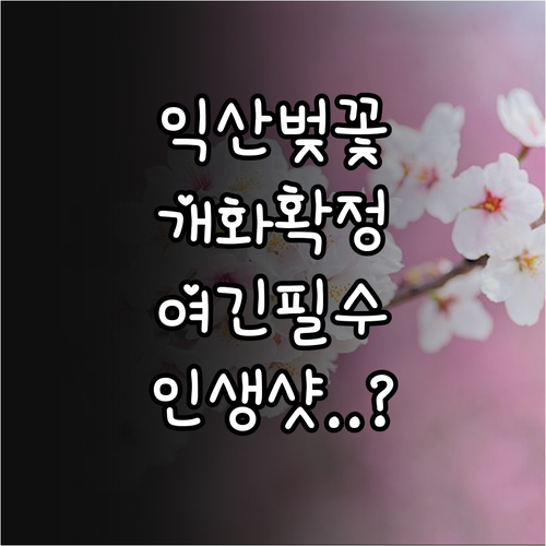 2026년 익산 봄꽃 축제 일정 벚꽃..