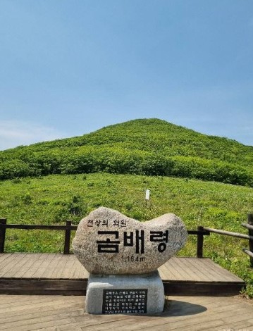[강원도 여행지 추천] 인제 가볼만한 곳 베스트 10 점봉산 곰배령