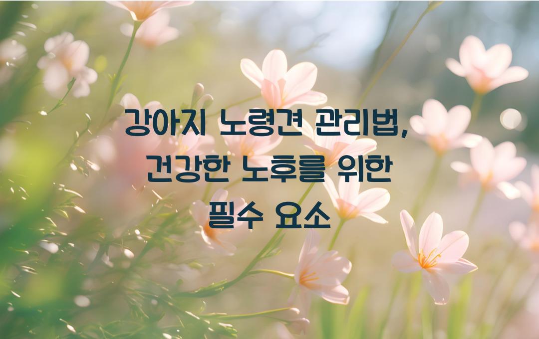 강아지 노령견 관리법, 나이든 반려견을 위한 건강 관리