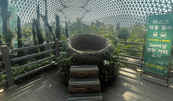 거제도 식물원 정글돔