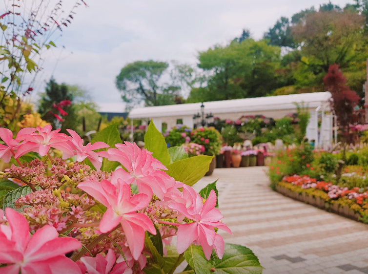 아름다운정원화수목2