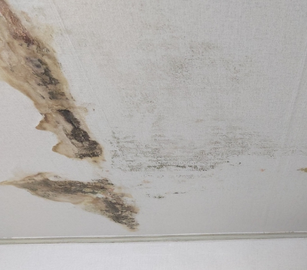 천장 누수 분쟁 해결 방법