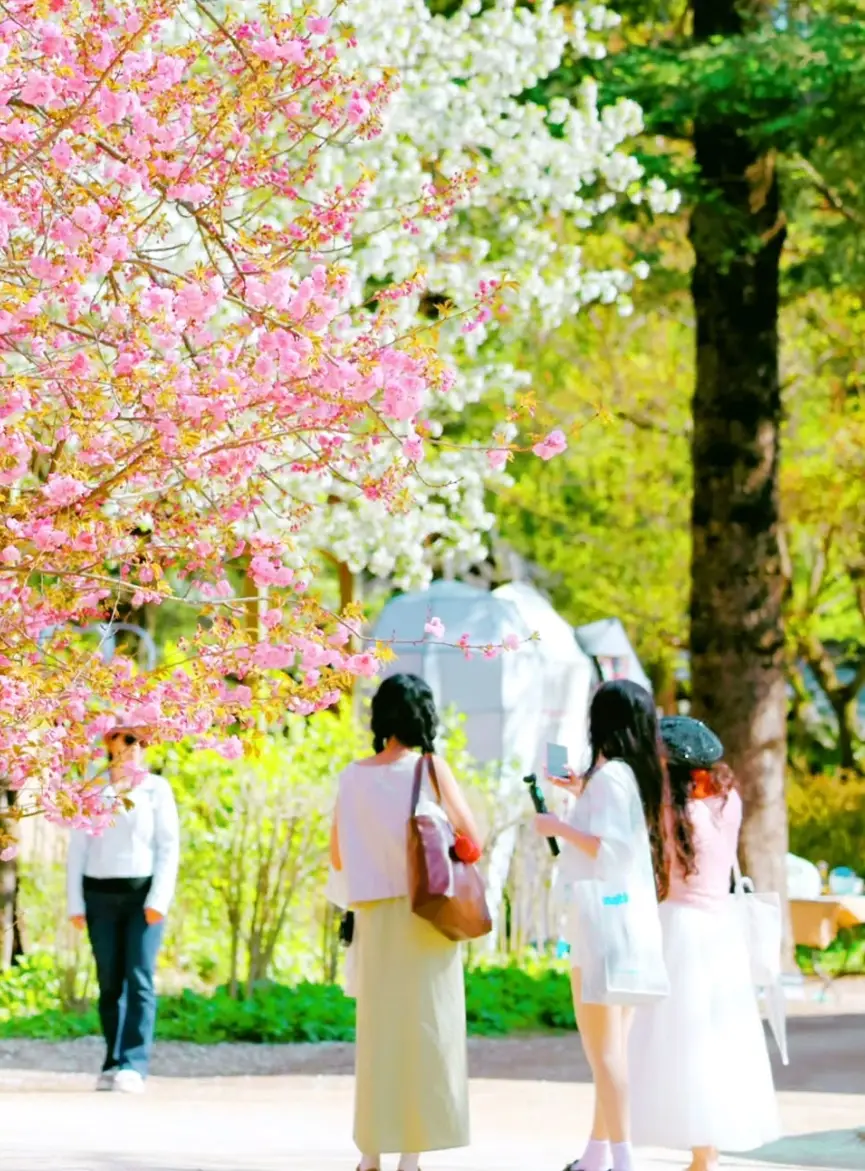 남이섬-입장료-선박-운항-시간-선착장