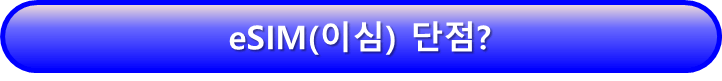 esim(이심) 단점
