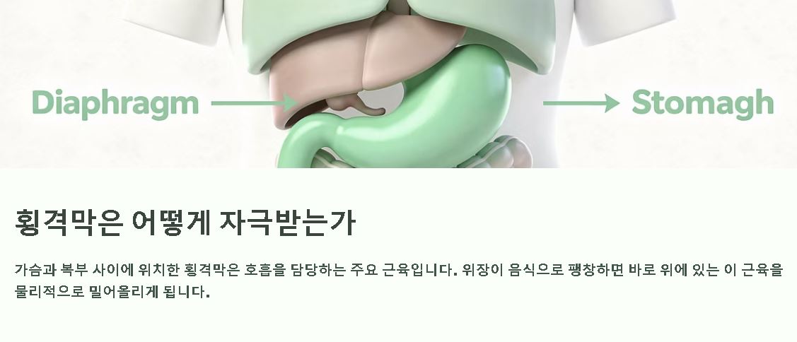 딸꾹질하는 이유