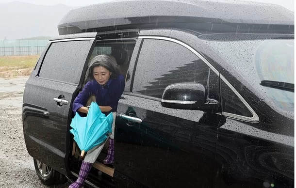 김행