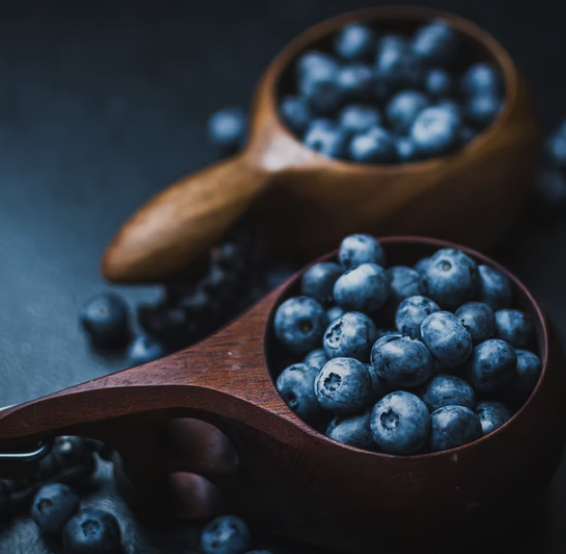 블루베리-안토시아닌