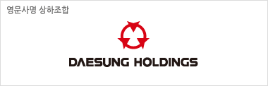 대성홀딩스_로고