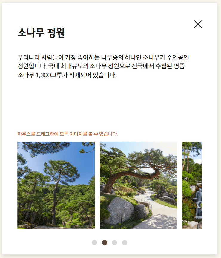 2025 화담숲 모노레일 예약 야놀자