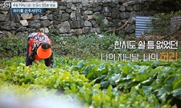 허리를곧추세우다