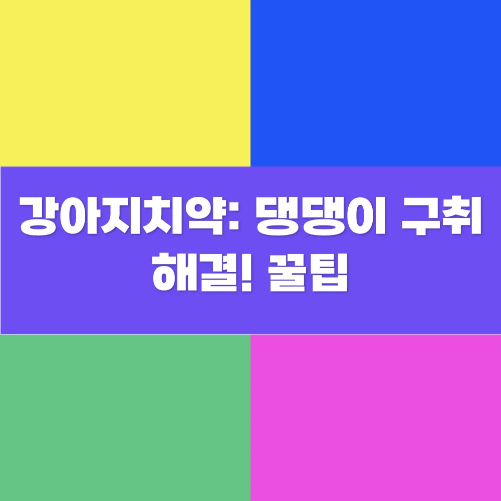 썸네일 이미지