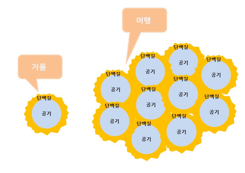 머랭이 만들어 지는 원리