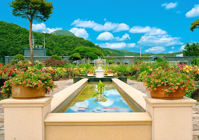 벽초지수목원 봄꽃축제❘온라인 예매 방법, 계절별 즐길 거리, 촬영지