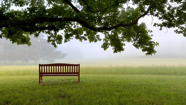 민생회복지원금25만원지급시기