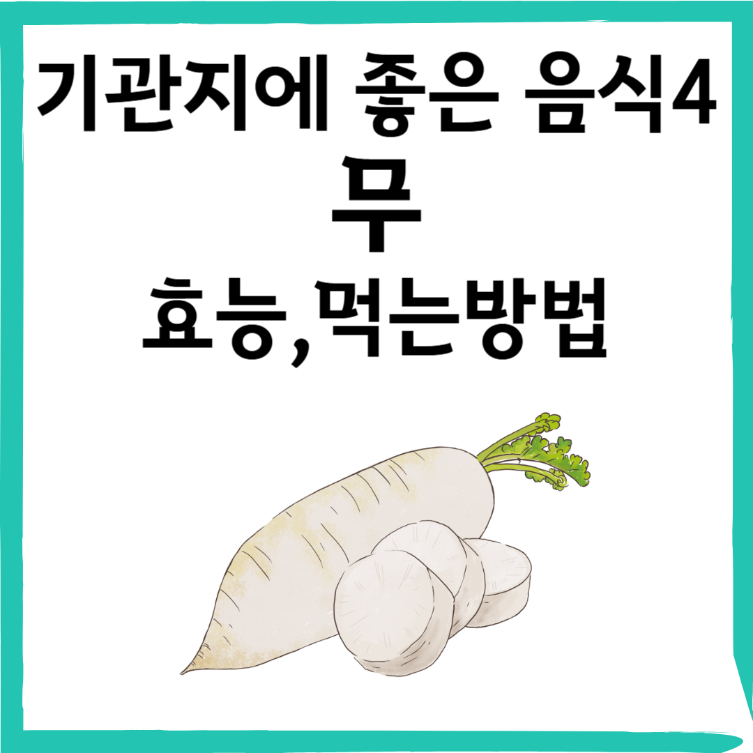 무(蘿蔔): 건강을 위한 자연 해독제