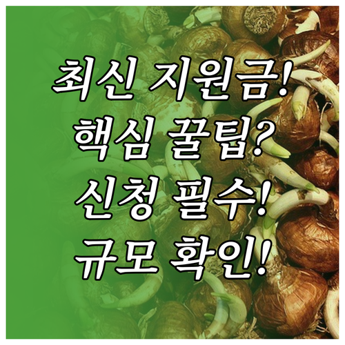 도시 재생 지원금 유형 규모 신청 시..