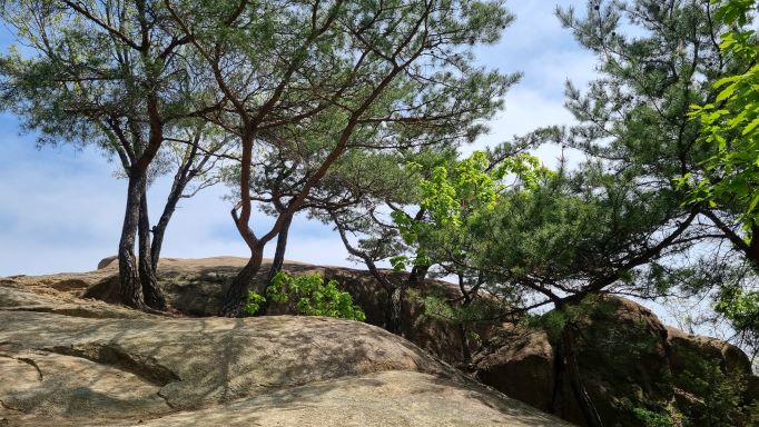 넉바위, 앞을 가리고 있는 나무들 사이로 흐리게 푸른 하늘,