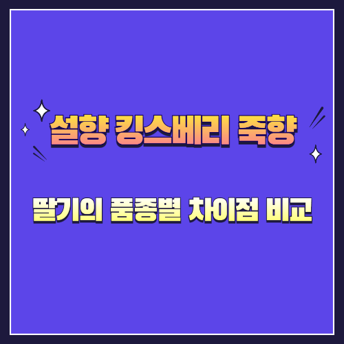 딸기의 품종별 차이점 비교! 설향 vs 킹스베리 vs 죽향