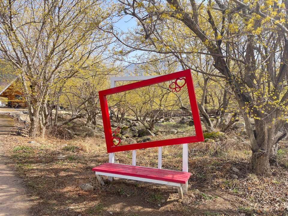 2023 구례 산수유축제