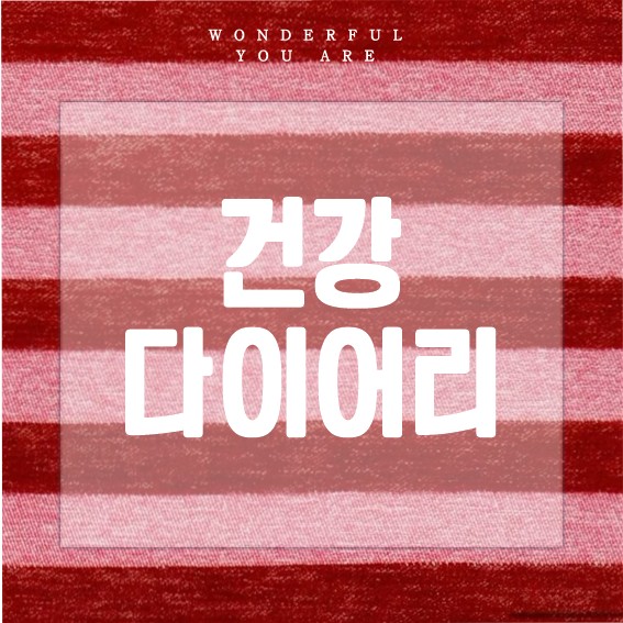 건강 다이어리 완전 정복: 기록으로 바꾸는 삶
