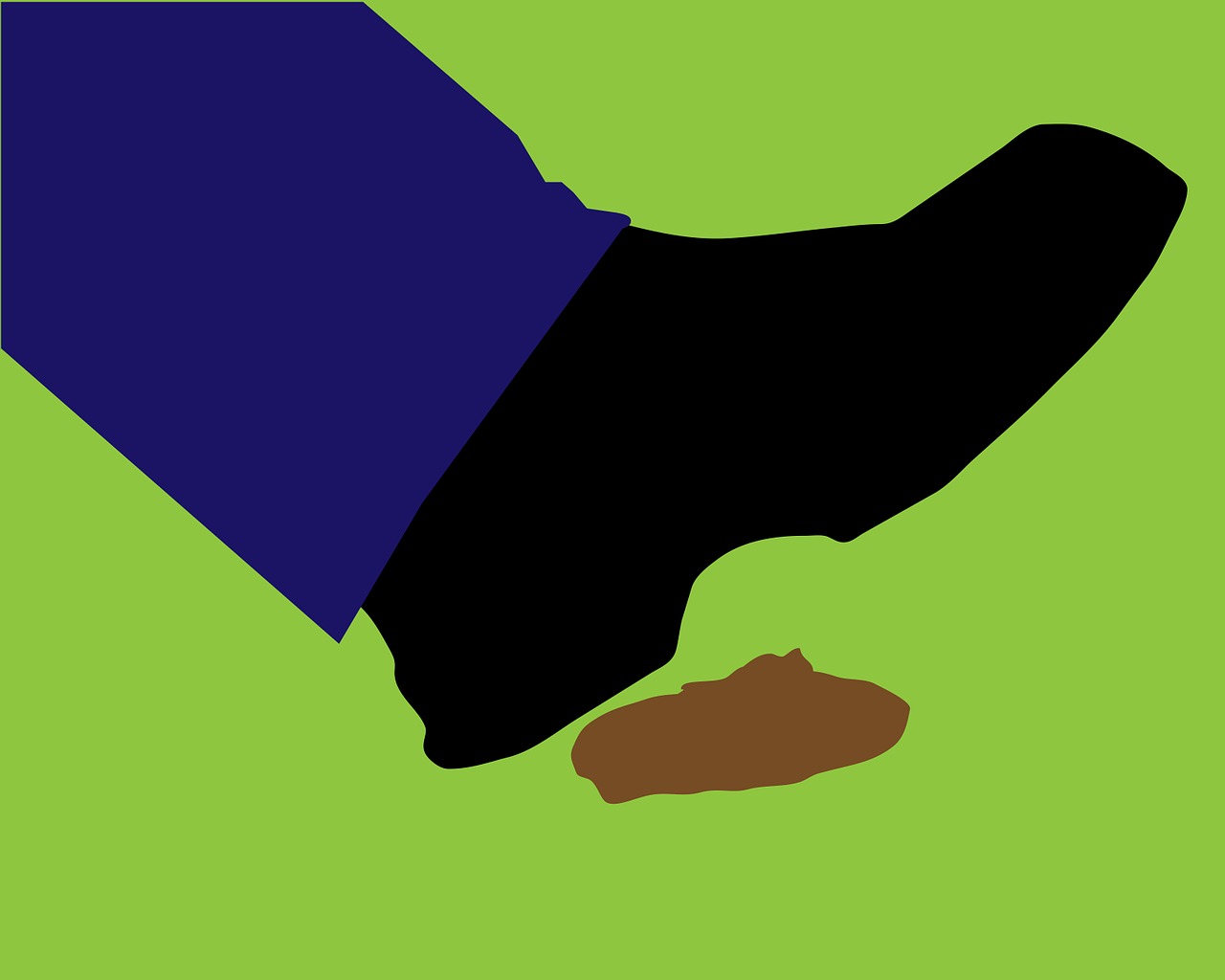 똥 대변 화장실