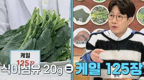 건강한 식습관은 장 건강의 시작