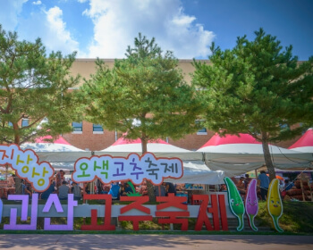 괴산 고추축제