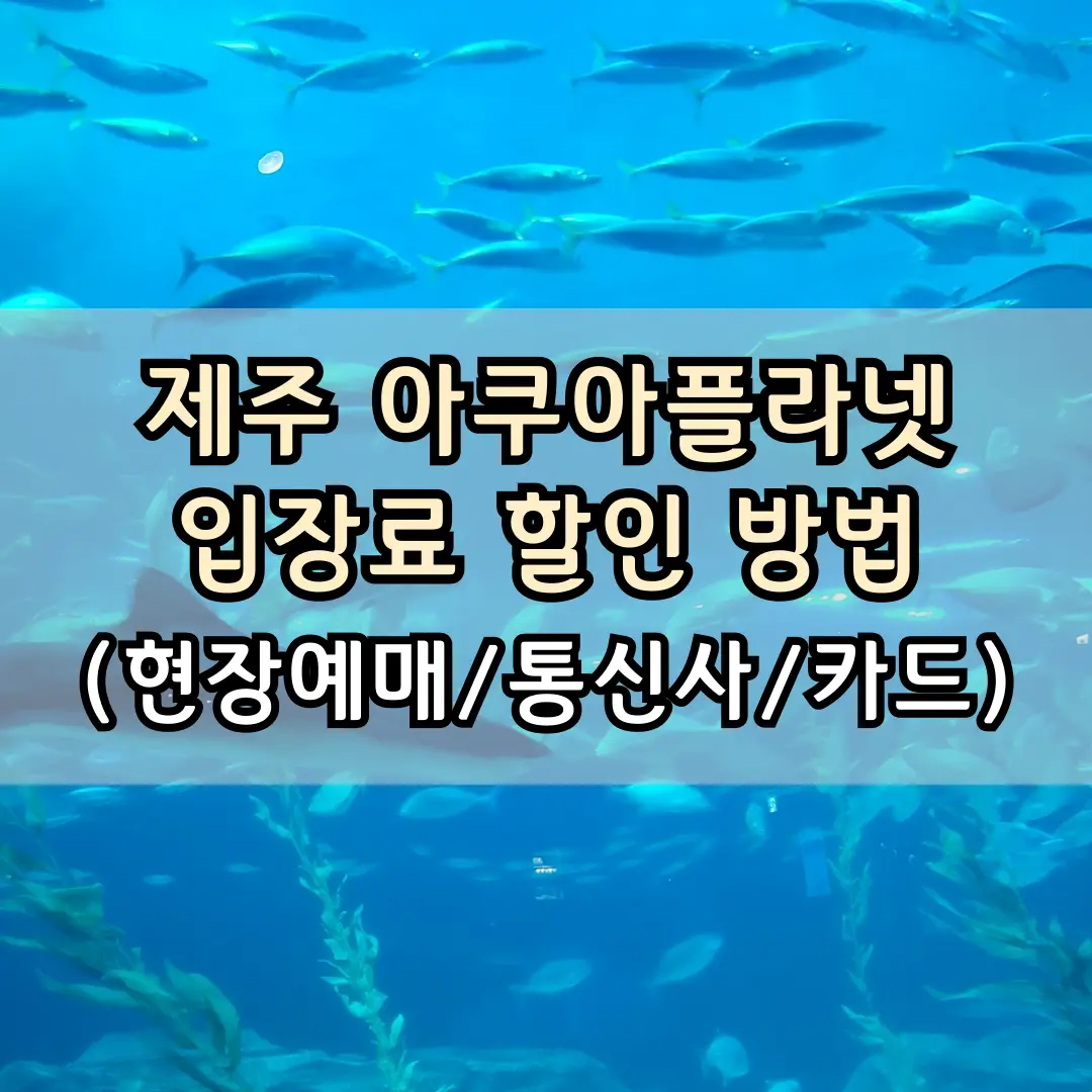 제주 아쿠아플라넷 사진