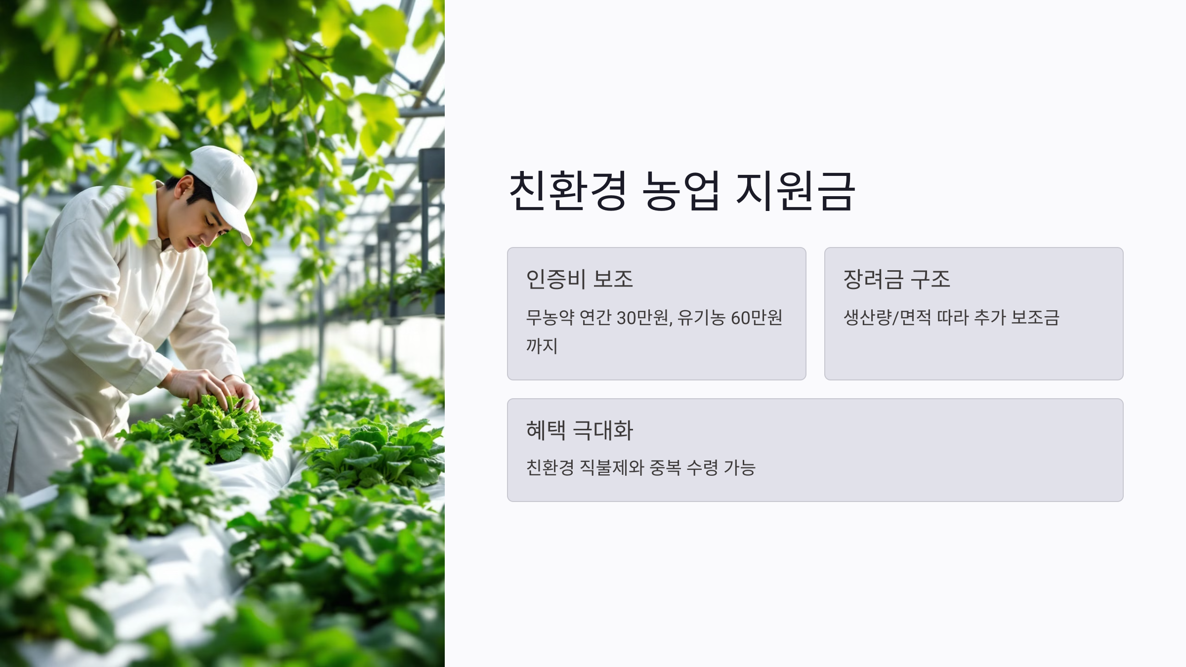 친환경 농업 지원금 2025년 기준: 인증비와 장려금 받는 조건은?