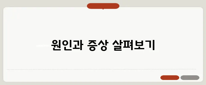 귀속이 가려운 이유 알레르기 vs 습진?