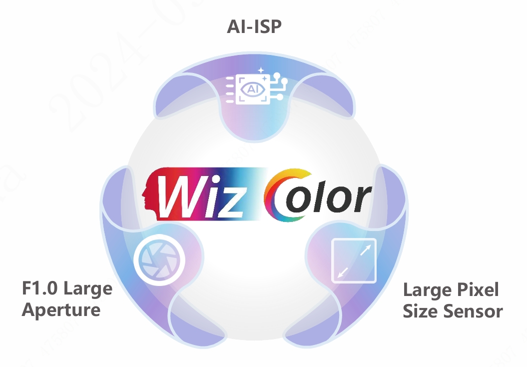 다후아 WizColor