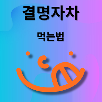 결명자차 먹는법