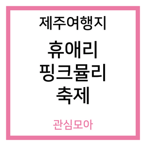 제주여행지 휴애리 핑크뮬리 축제