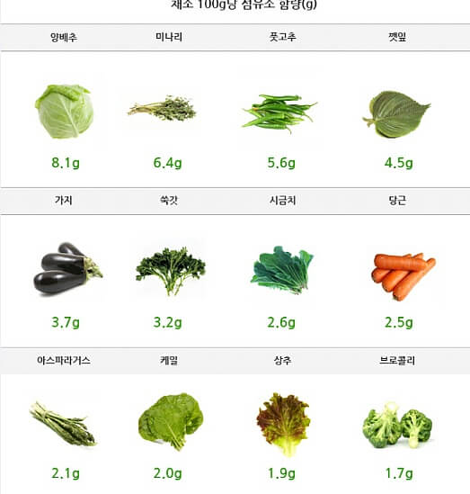식이섬유