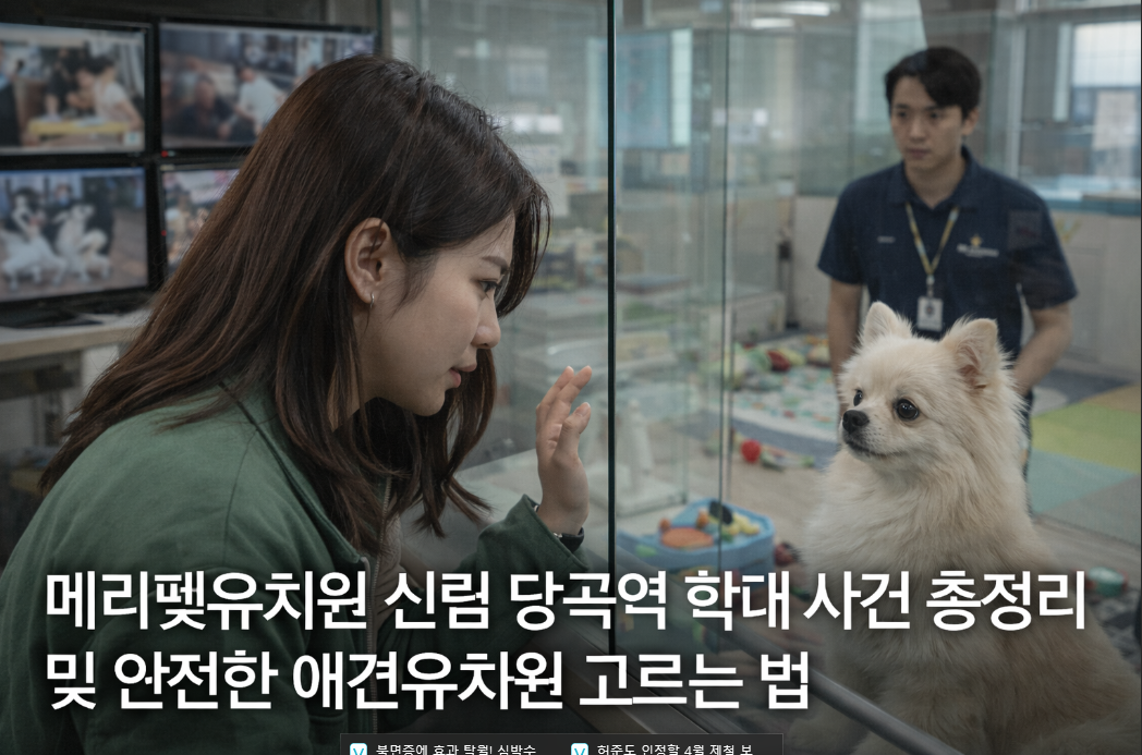 안전한 애견유치원 골라 애견 학대 파하는 법 완벽 정리