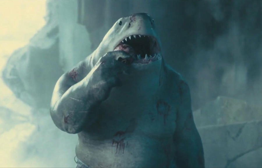 킹샤크가 뭔가를 먹고 있는 모습