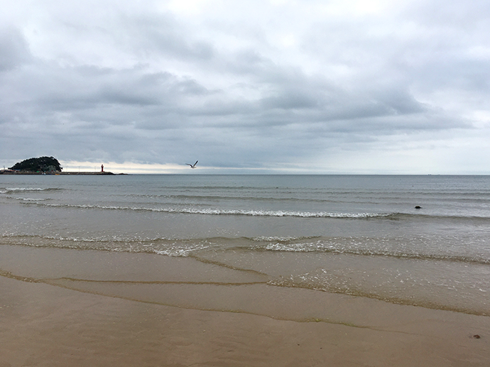 만리포-해수욕장-풍경7