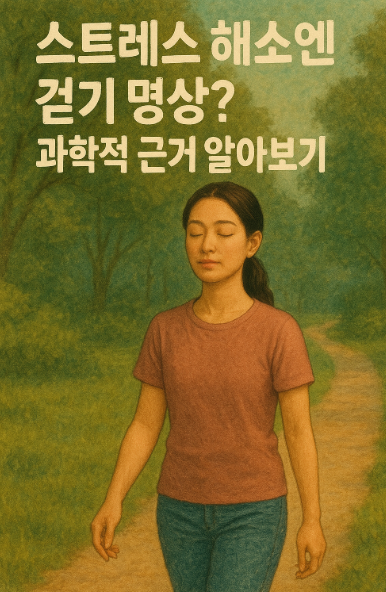 스트레스 해소 걷기 명상 사진